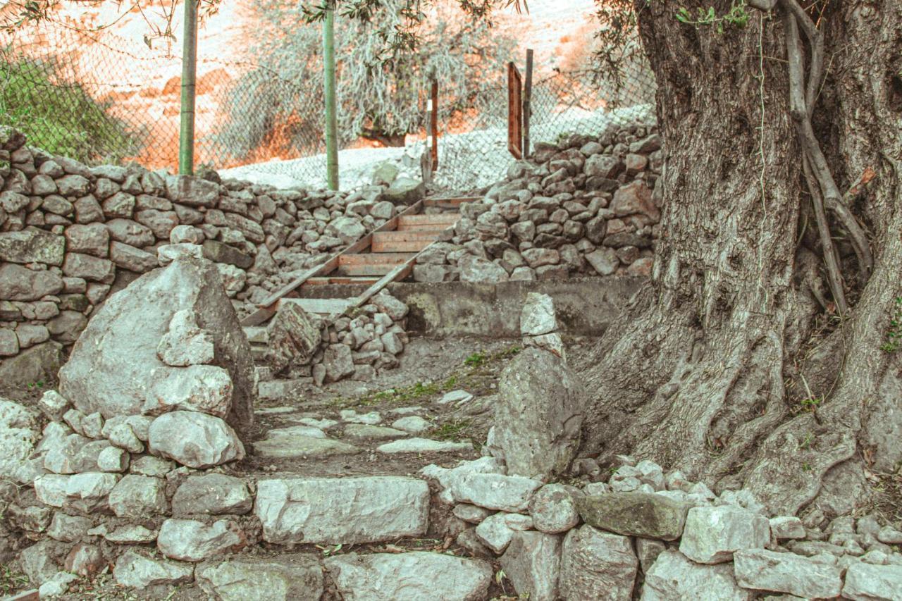 Hobbit Village Dana Kültér fotó