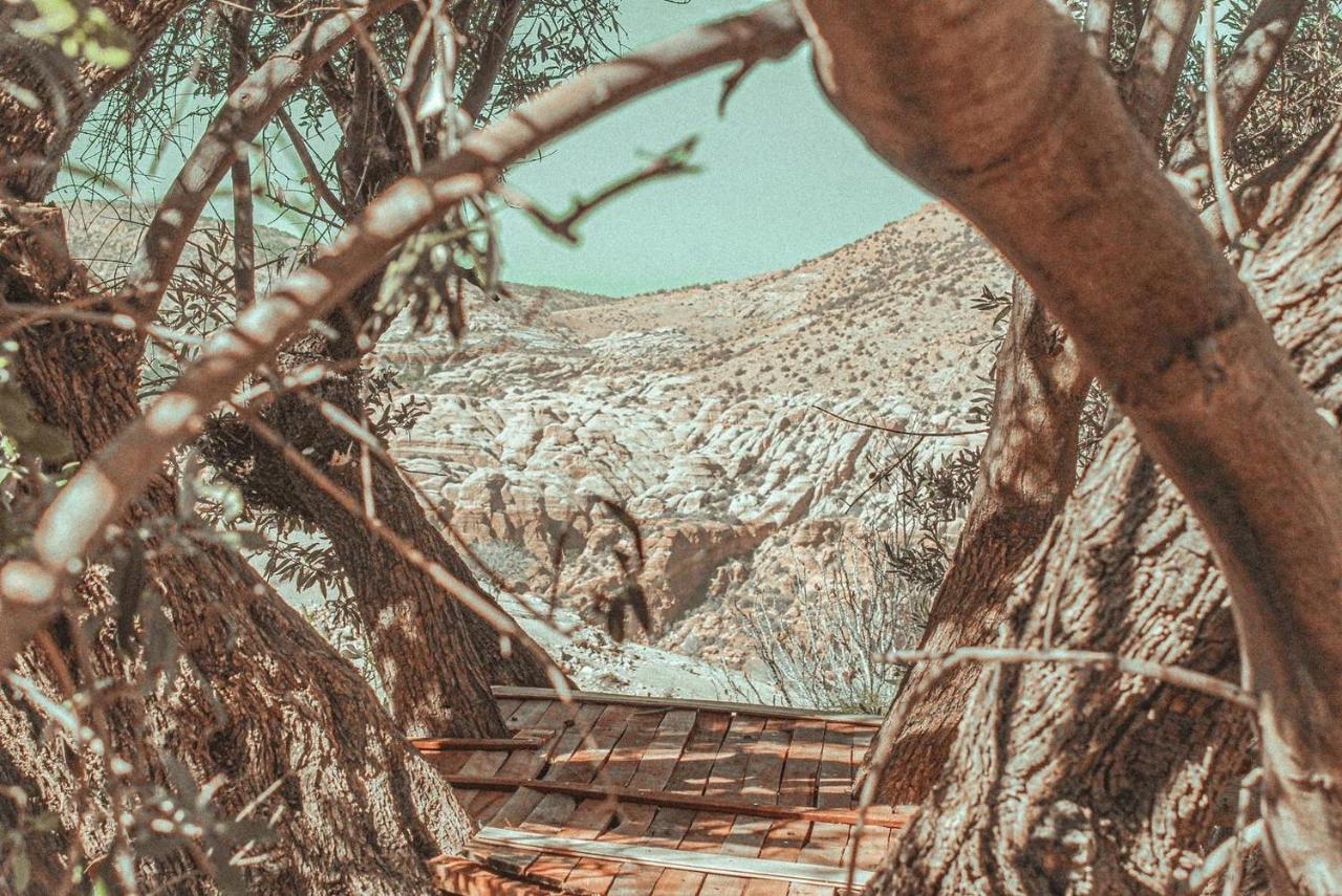 Hobbit Village Dana Kültér fotó